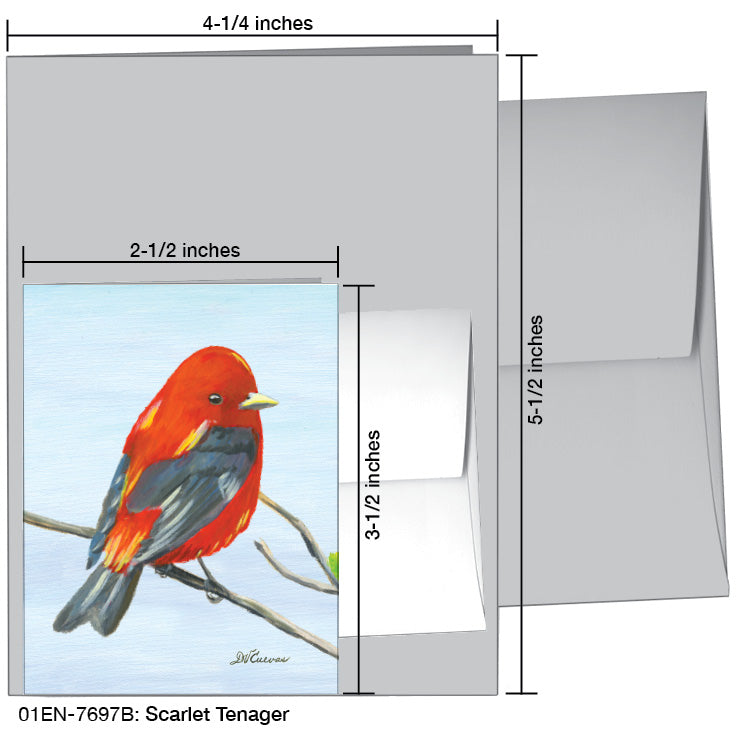 Scarlet Tenager, Greeting Card (7697B)