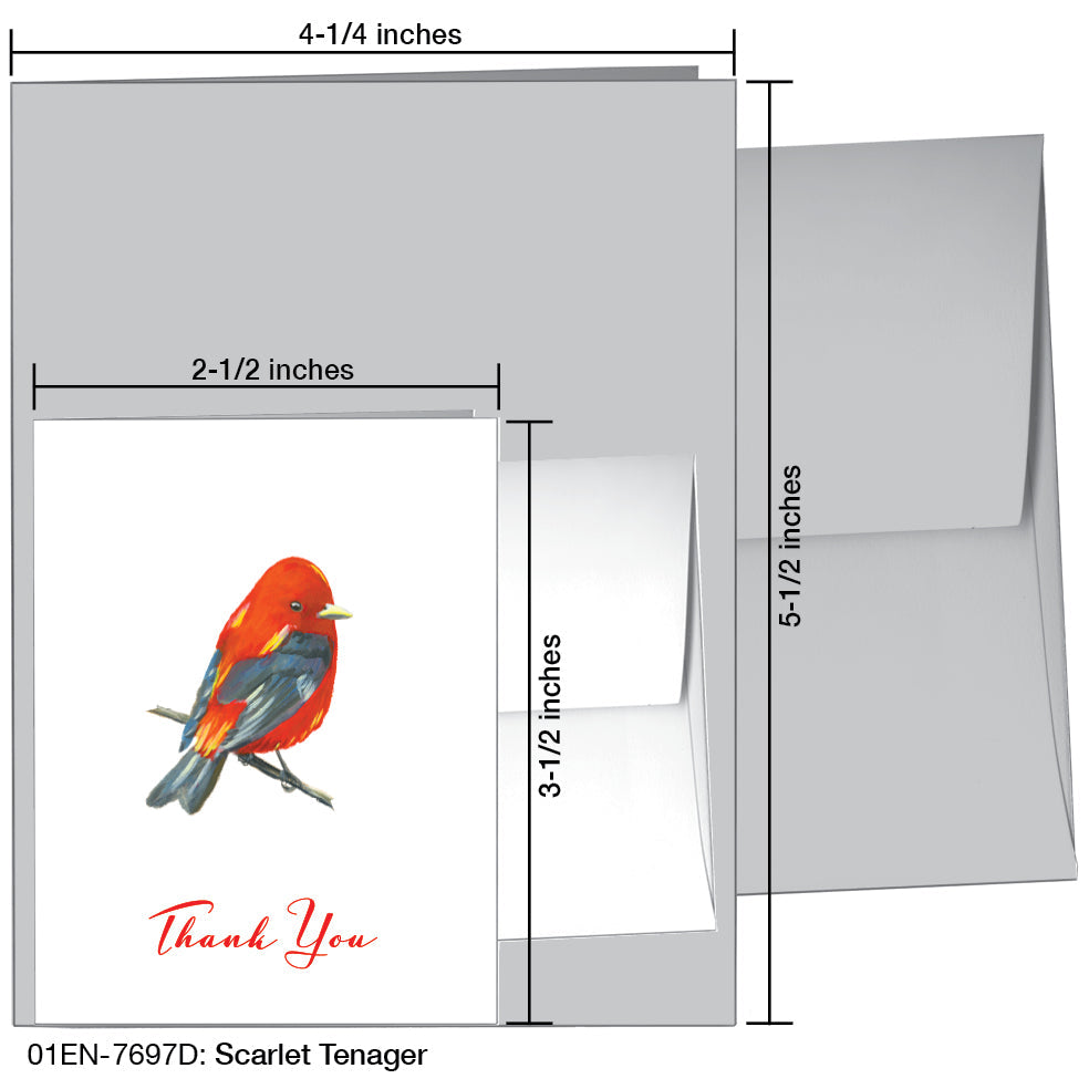 Scarlet Tenager, Greeting Card (7697D), Enclosure, printedcanvas.com