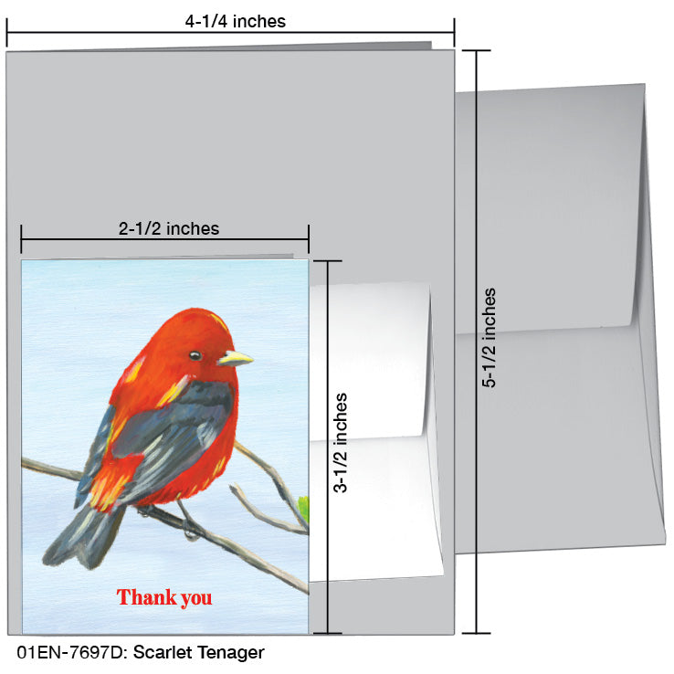 Scarlet Tenager, Greeting Card (7697D)