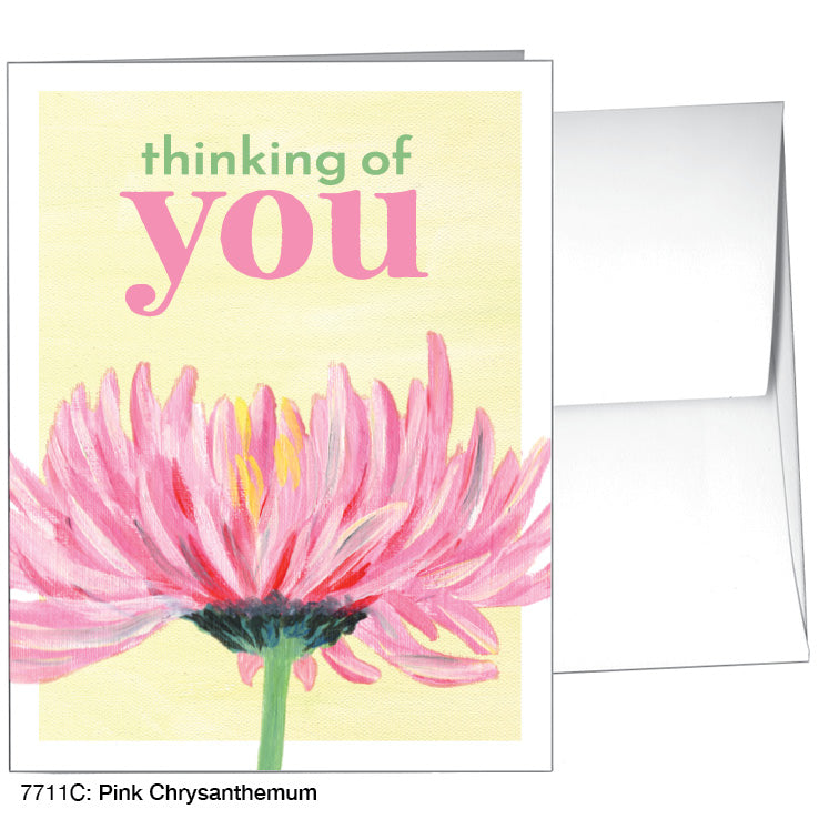 Pink Chrysanthemum, Greeting Card (7711C)