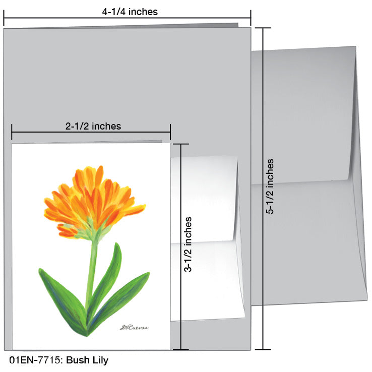 Bush Lily, Greeting Card (7715A)