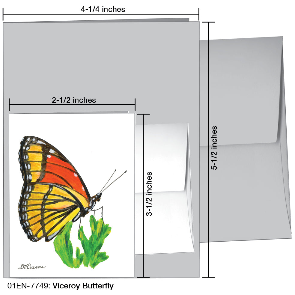 Viceroy Butterfly, Greeting Card (7749B), Enclosure, www.printedcanvas.com