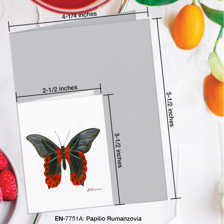 Papilio Rumanzovia Butterfly, Greeting Card (7751A), Enclosure Card, www.printedcanvas.com