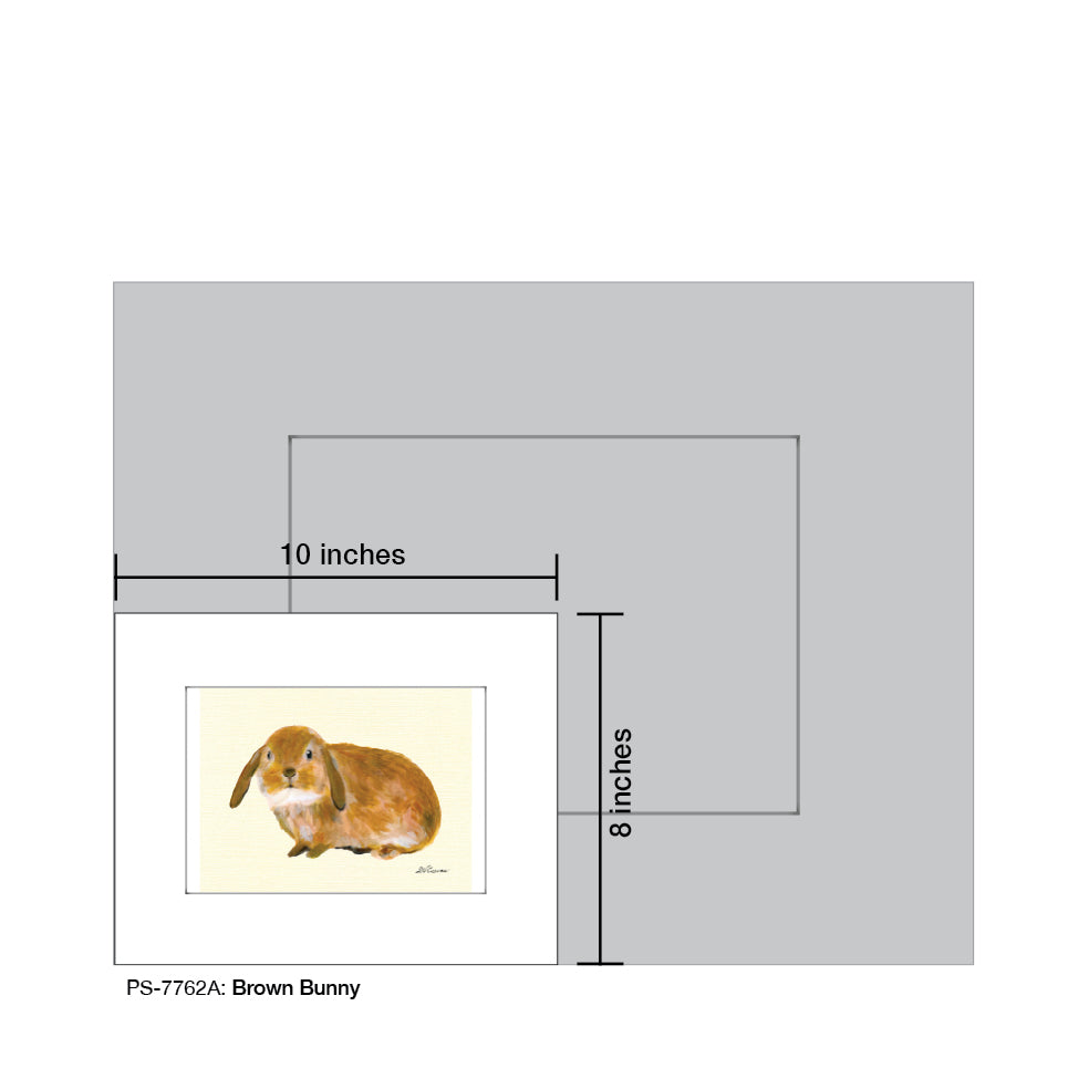 Brown Bunny, Print (#7762A)