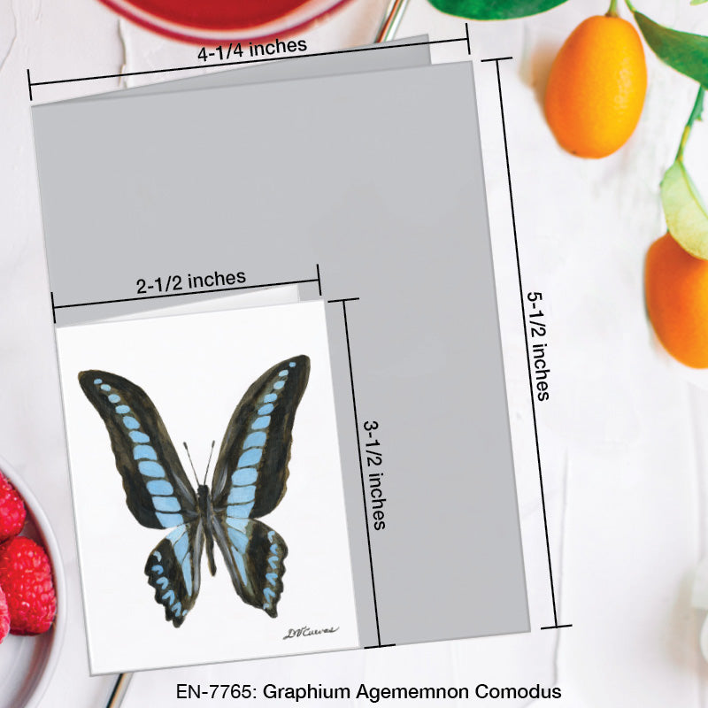 Graphium Agememnon Comodus Butterfly, Greeting Card (7765A), Enclosure Card, www.printedcanvas.com