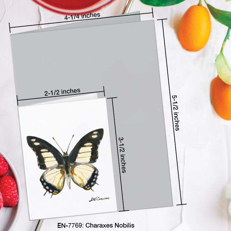 Charaxes Nobilis Butterfly, Greeting Card (7769B), Enclosure Card, www.printedcanvas.com