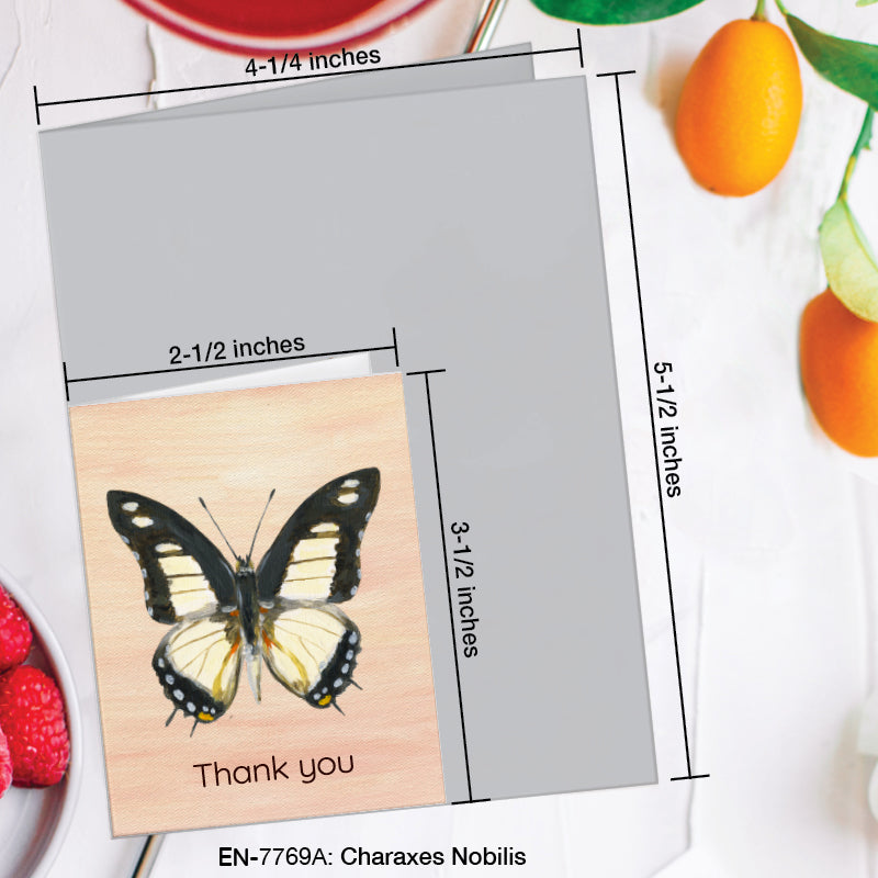 Charaxes Nobilis Butterfly, Greeting Card (7769A), Enclosure Card, www.printedcanvas.com