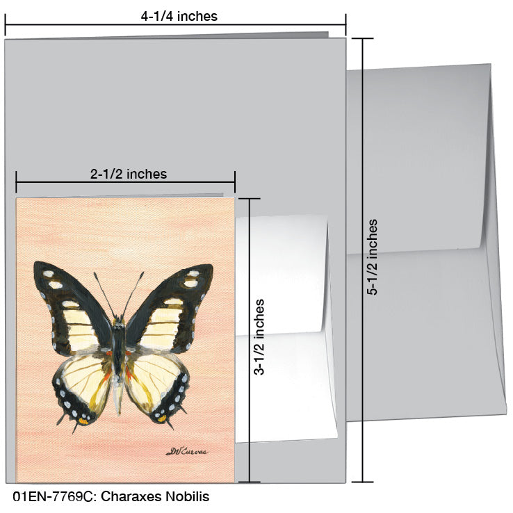 Charaxes Nobilis, Greeting Card (7769C), Enclosure, www.printedcanvas.com