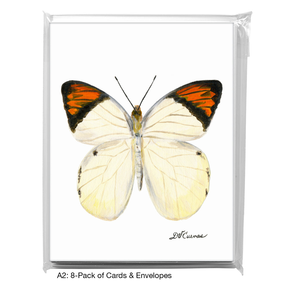 Hebomoia Glaucippe Felderi, Greeting Card (7770), A2 8-Pack, printedcanvas.com
