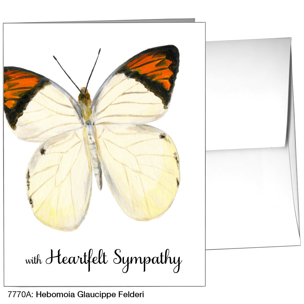 Hebomoia Glaucippe Felderi, Greeting Card (7770A), Enclosure Card, www.printedcanvas.com
