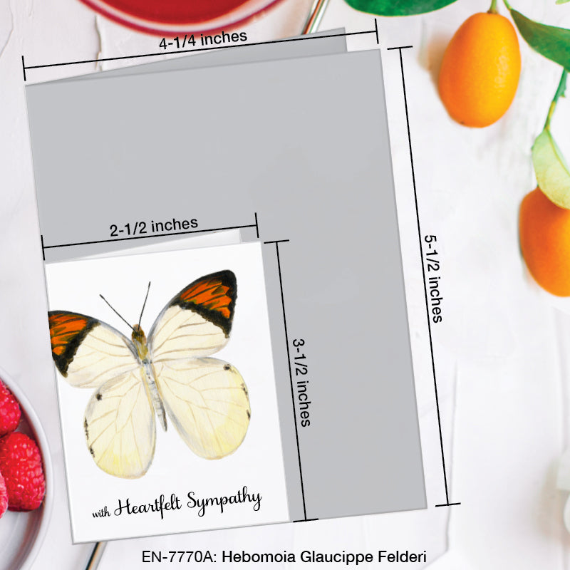 Hebomoia Glaucippe Felderi Butterfly, Greeting Card (7770A), Enclosure, www.printedcanvas.com