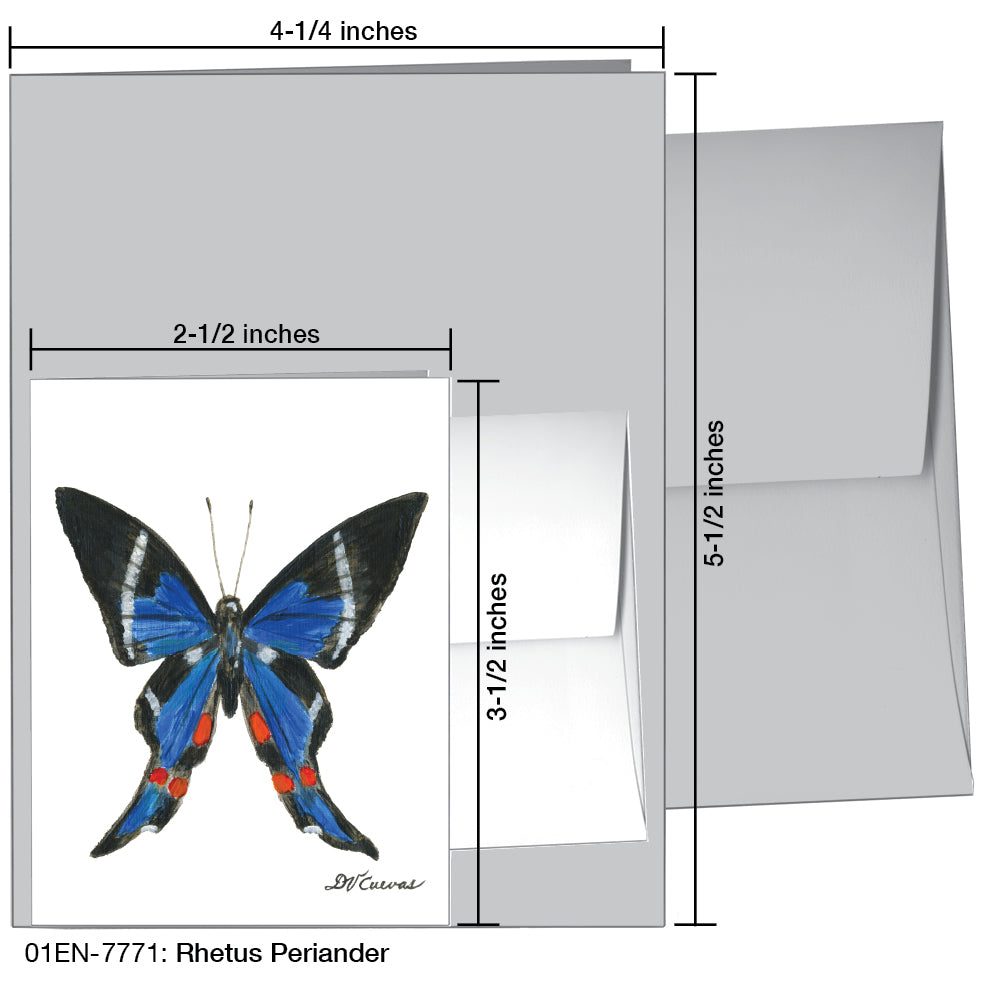 Rhetus Periander, Greeting Card (7771A), Enclosure, www.printedcanvas.com