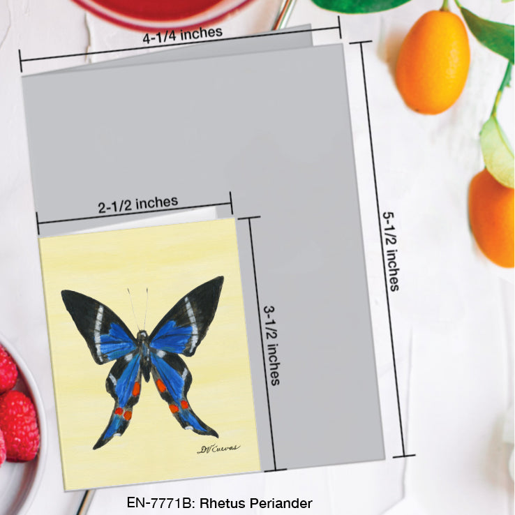 Rhetus Periander Butterfly, Greeting Card (#7771B), Enclosure Card, www.printedcanvas.com