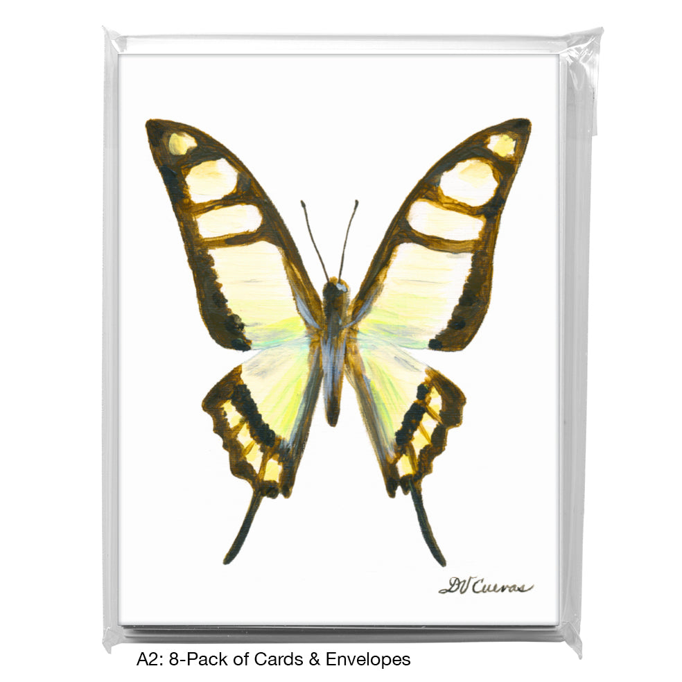 Graphium Cloanthus Sumatranum, Greeting Card (7773), A2 8-Pack, printedcanvas.com