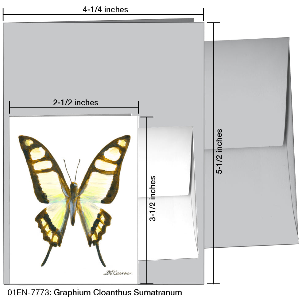 Graphium Cloanthus Sumatranum, Greeting Card (7773), Enclosure, printedcanvas.com