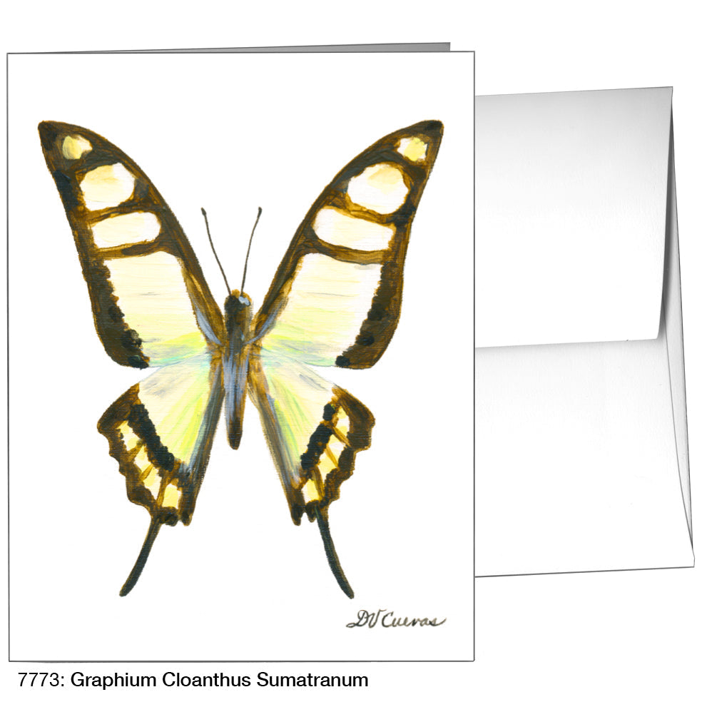 Graphium Cloanthus Sumatranum, Greeting Card (7773), A2, printedcanvas.com