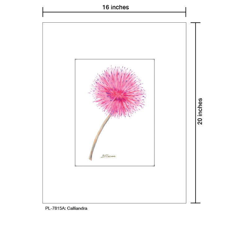 Calliandra, Print (#7815A)