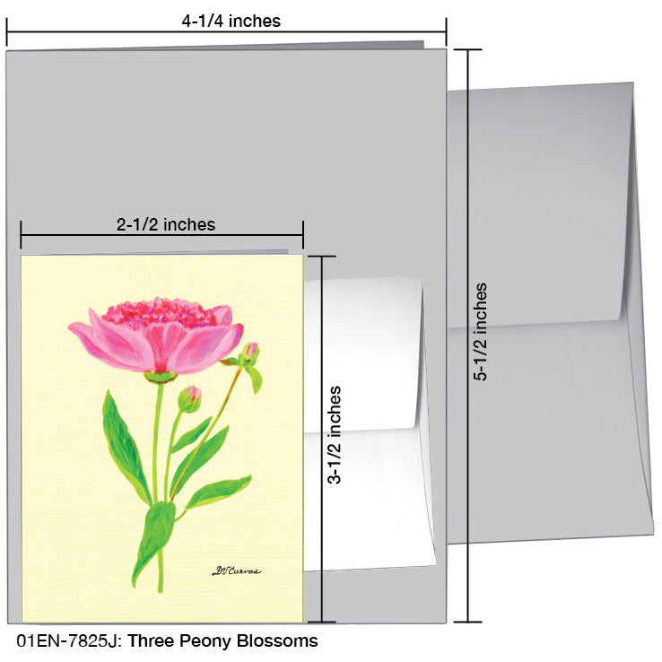 Three Peony Blossoms, Greeting Card (7825J), Enclosure Card, www.printedcanvas.com