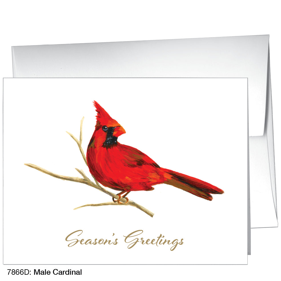 Male Cardinal, Greeting Card (7866D), A2, printedcanvas.com