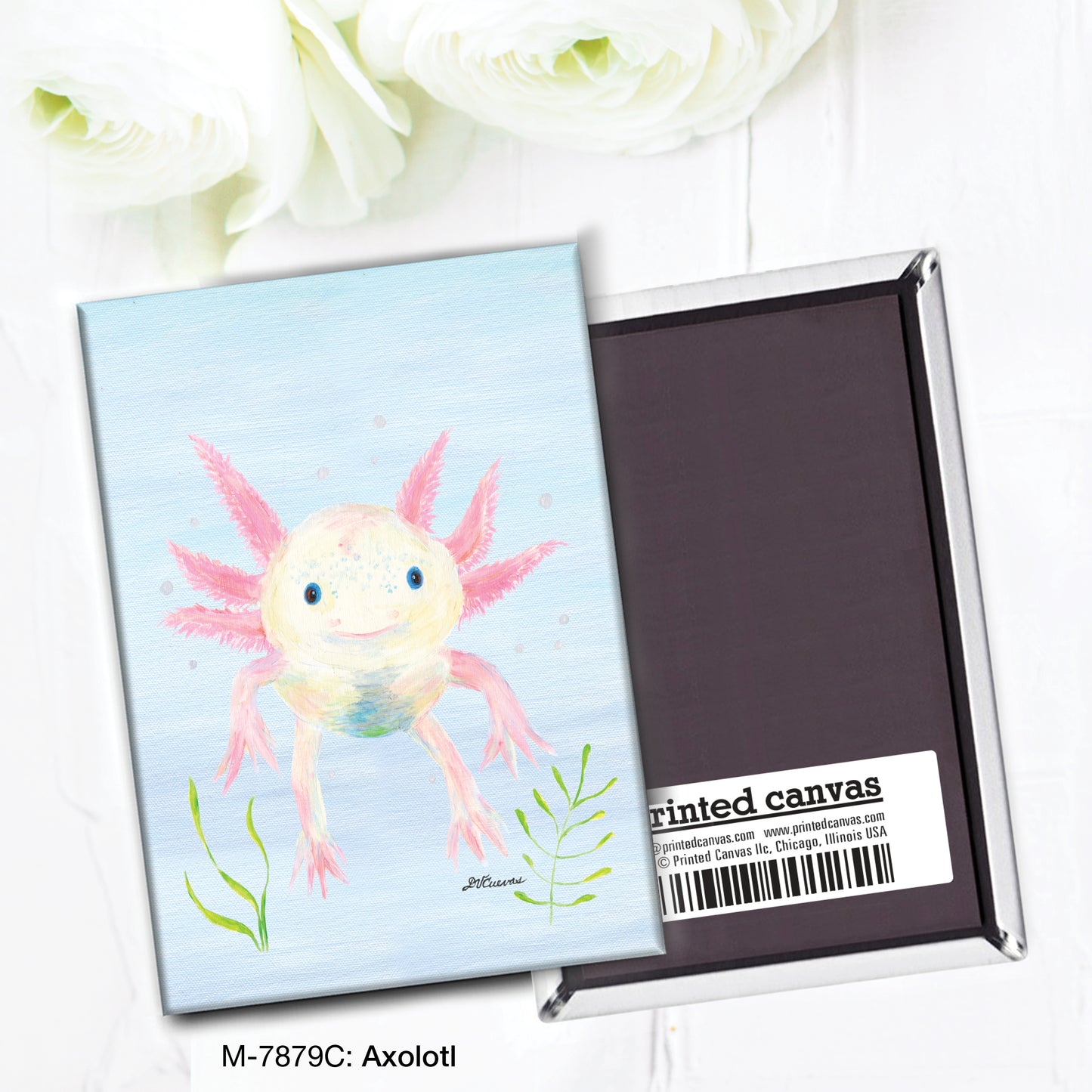 Axolotl, Magnet (M-7879C)