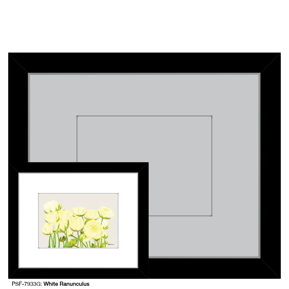 White Ranunculus, Print (#7933G)