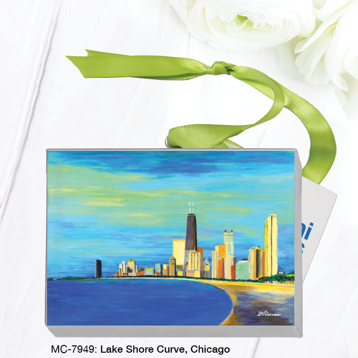 Lake Shore Curve, Chicago, Mini Canvas (MC-7949), Front, printedcanvas.com