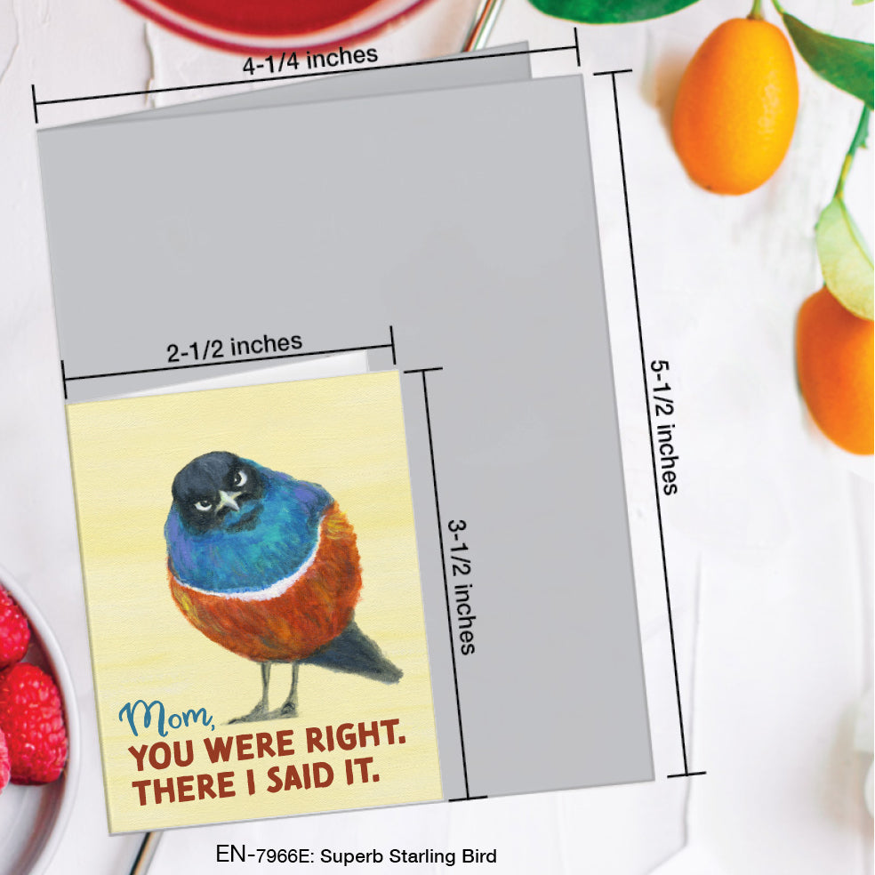 Superb Starling Bird, Greeting Card (#7966E)