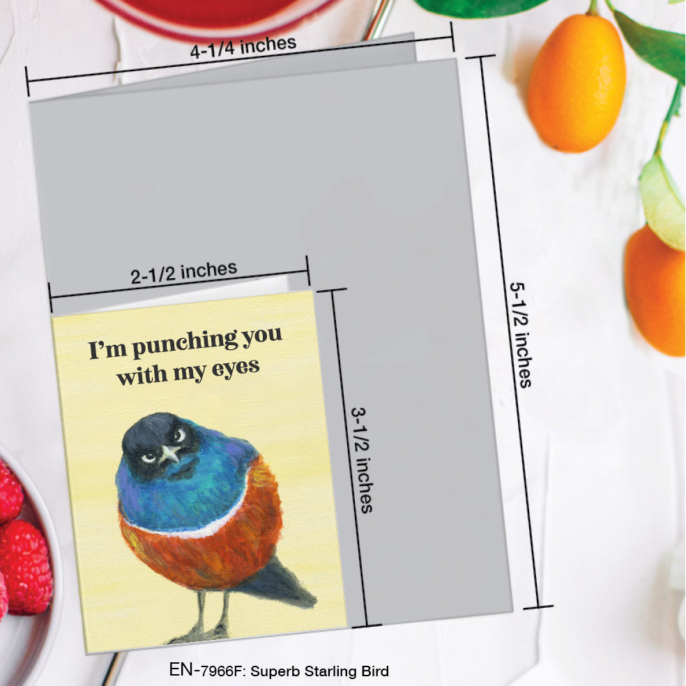 Superb Starling Bird, Greeting Card (#7966F)