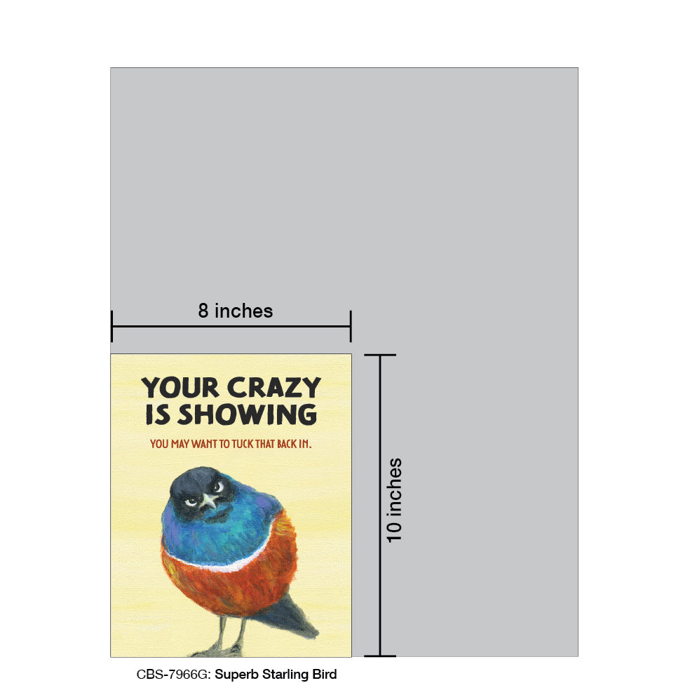 Superb Starling Bird, Card Board (7966G)