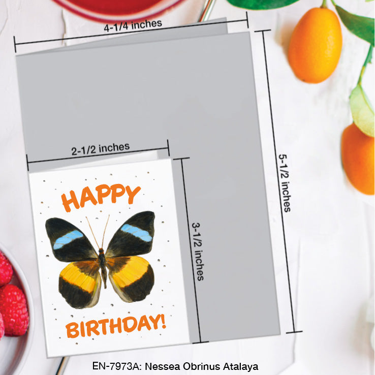 Nessea Obrinus Atalaya Butterfly, Greeting Card (7973A), Enclosure, www.printedcanvas.com