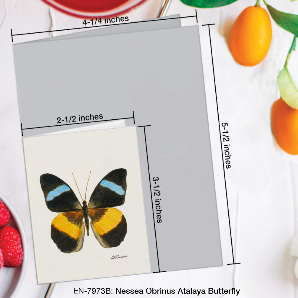 Nessea Obrinus Atalaya Butterfly, Greeting Card (#7973B)