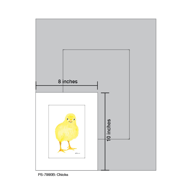 Chicks, Print (#7990B)