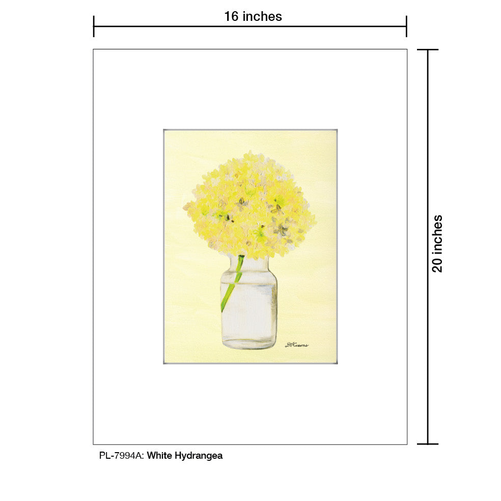 White Hydrangea, Print (#7994A), Printe Matted, www.printedcanvas.com