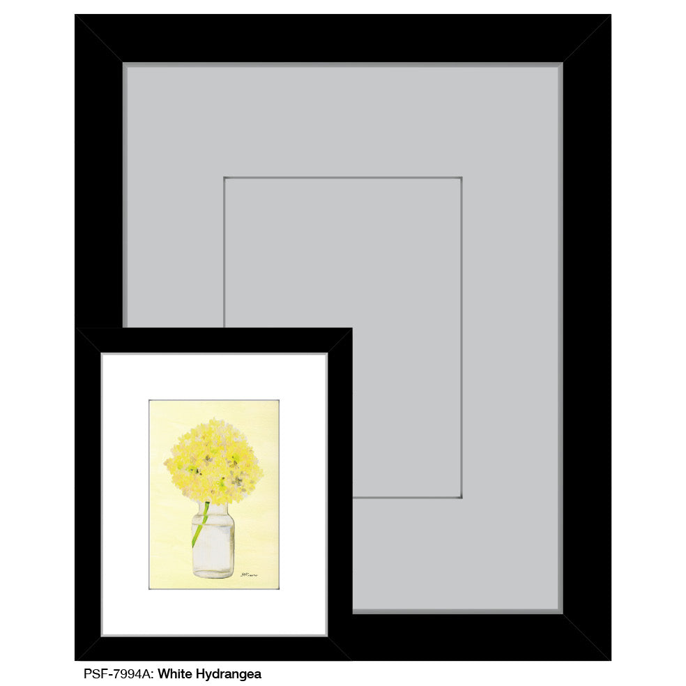 White Hydrangea, Print (#7994A), Print Matted, www.printedcanvas.com