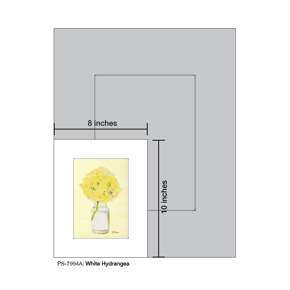 White Hydrangea, Print (#7994A), Print Matted, www.printedcanvas.com