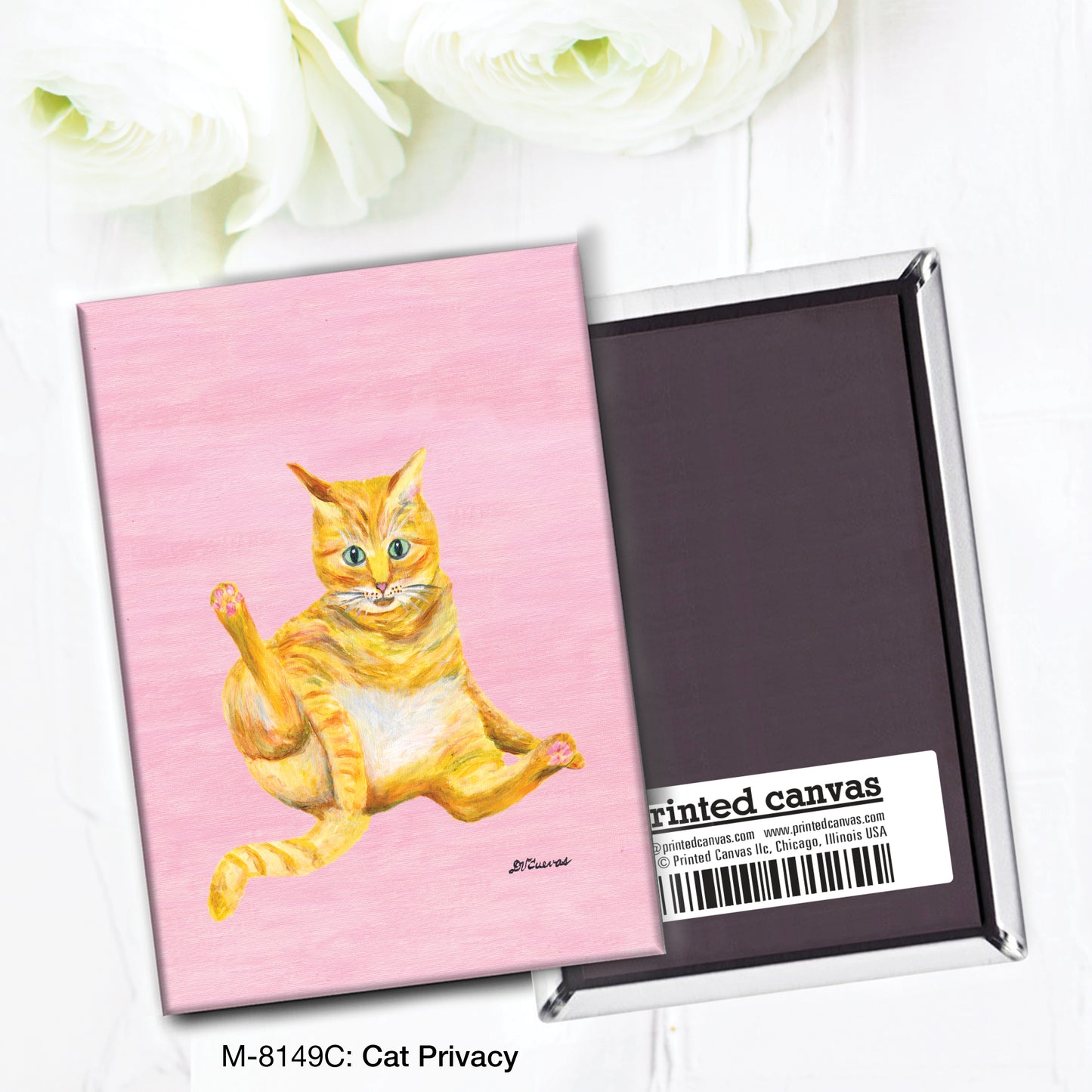 Cat Privacy, Magnet (M-8149C)