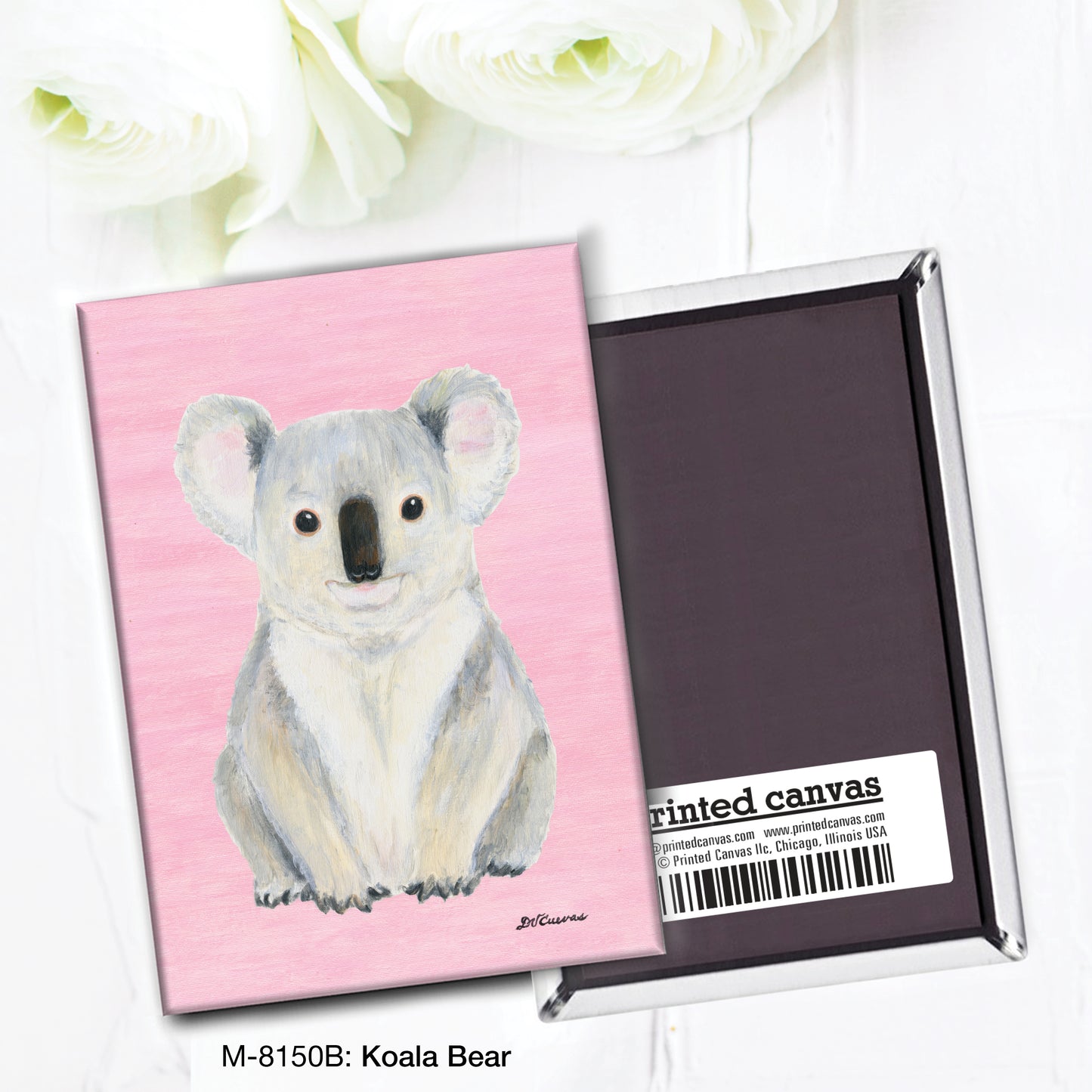 Koala Bear, Magnet (M-8150B)