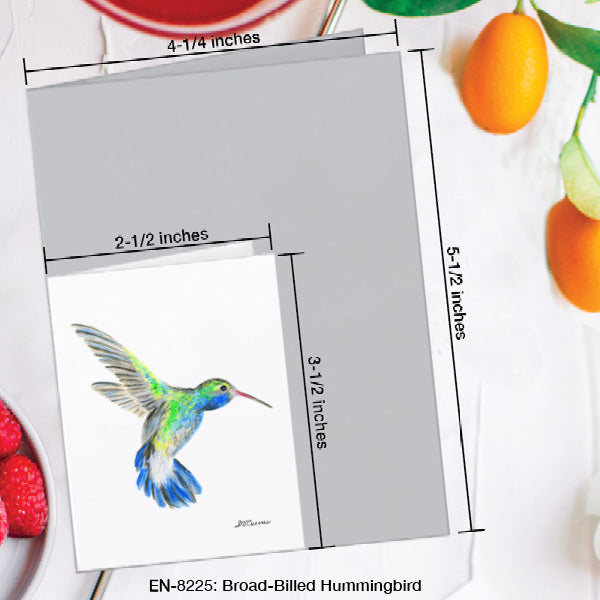 Broad-Billed Hummingbird, Greeting Card (8225G), Enclosure Card, www.printedcanvas.com