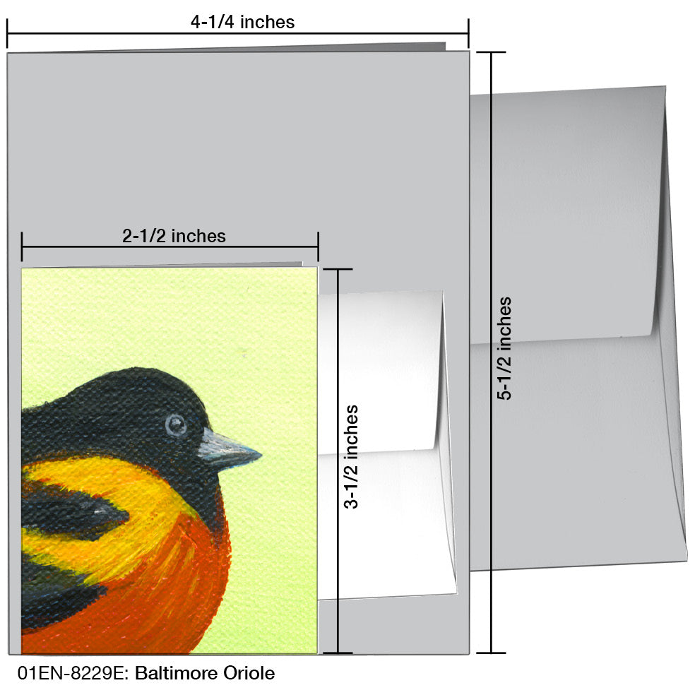 Baltimore Oriole, Greeting Card (8229E), Enclosure Card, www.printedcanvas.com