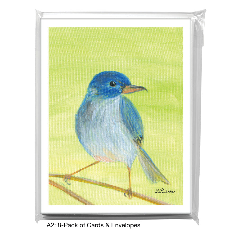 Slaty Flowerpiercer, Greeting Card (8315C), A2 Card 8-Pack, www.printedcanvas.com