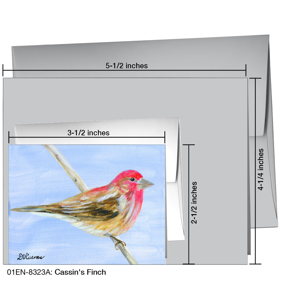 CassinÕs Finch, Greeting Card (8323A), Enclosure, www.printedcanvas.com