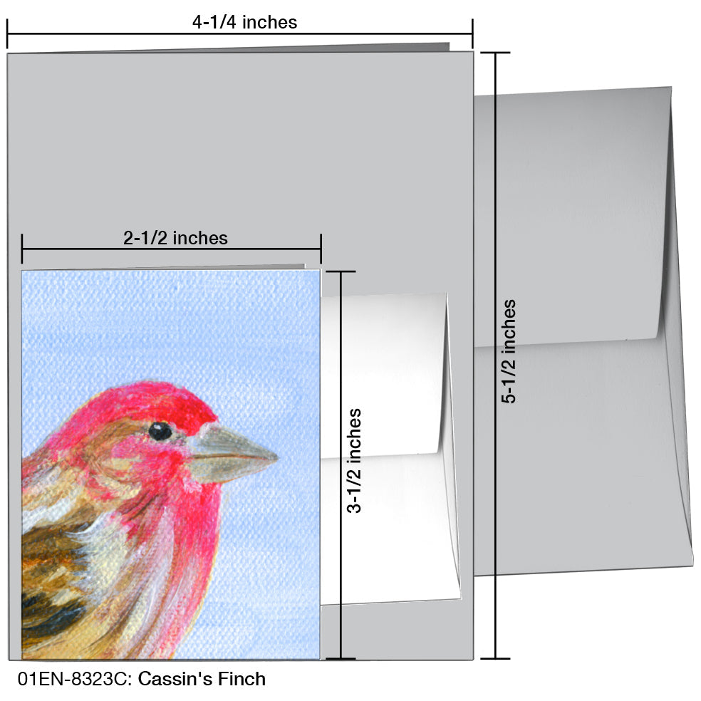 CassinÕs Finch, Greeting Card (8323C), Enclosure Card, www.printedcanvas.com