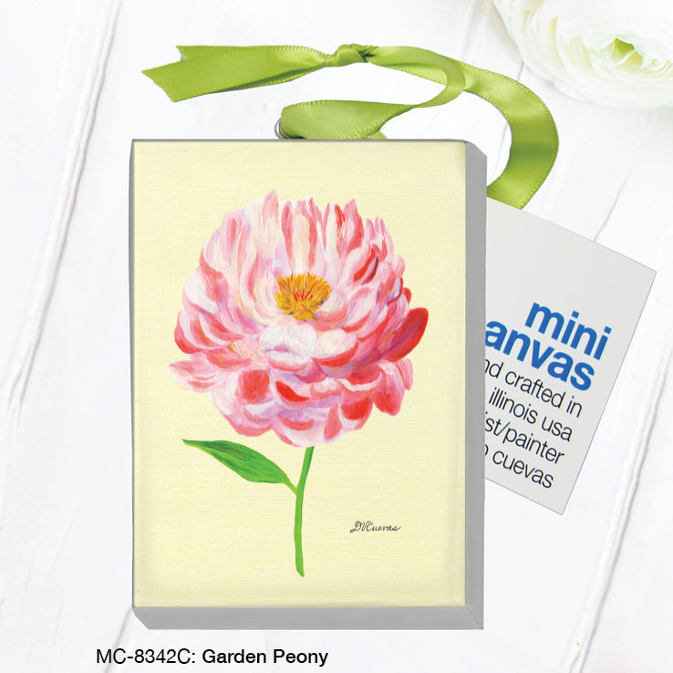 Garden Peony, Mini Canvas (MC-8342C)
