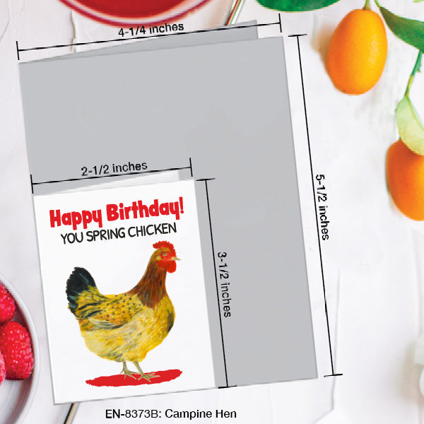 Campine Hen, Greeting Card (8373B), Enclosure, www.printedcanvas.com
