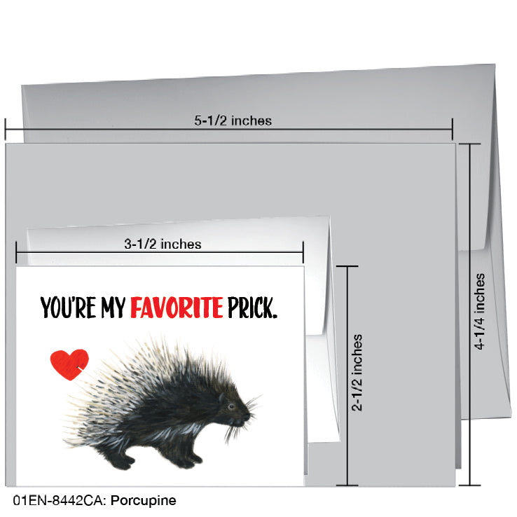 Porcupine, Greeting Card (8442CA)