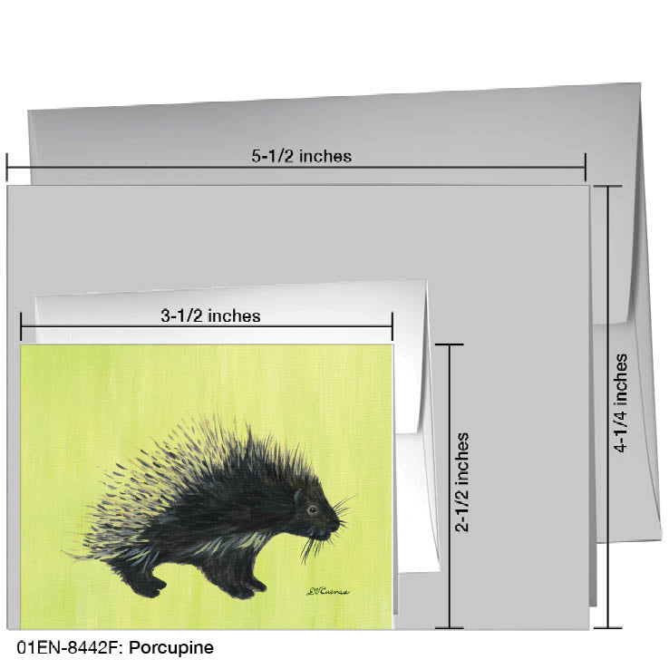 Porcupine, Greeting Card (#8442F), Enclosure Card, www.printedcanvas.com
