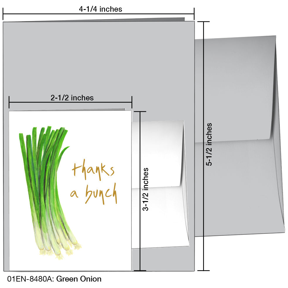Green Onion, Greeting Card (8480A), Enclosure, www.printedcanvas.com