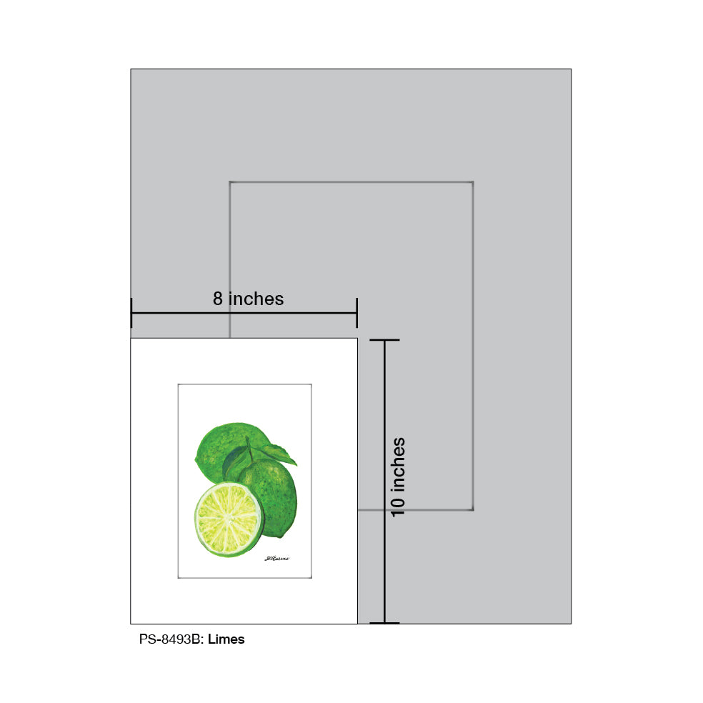 Limes, Print (#8493B)