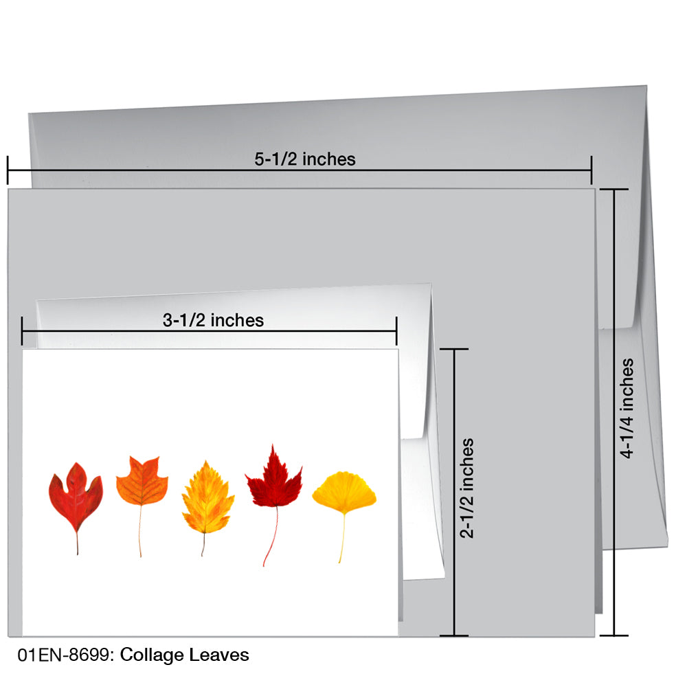 Collage Leaves, Greeting Card (8699A), Enclosure, www.printedcanvas.com