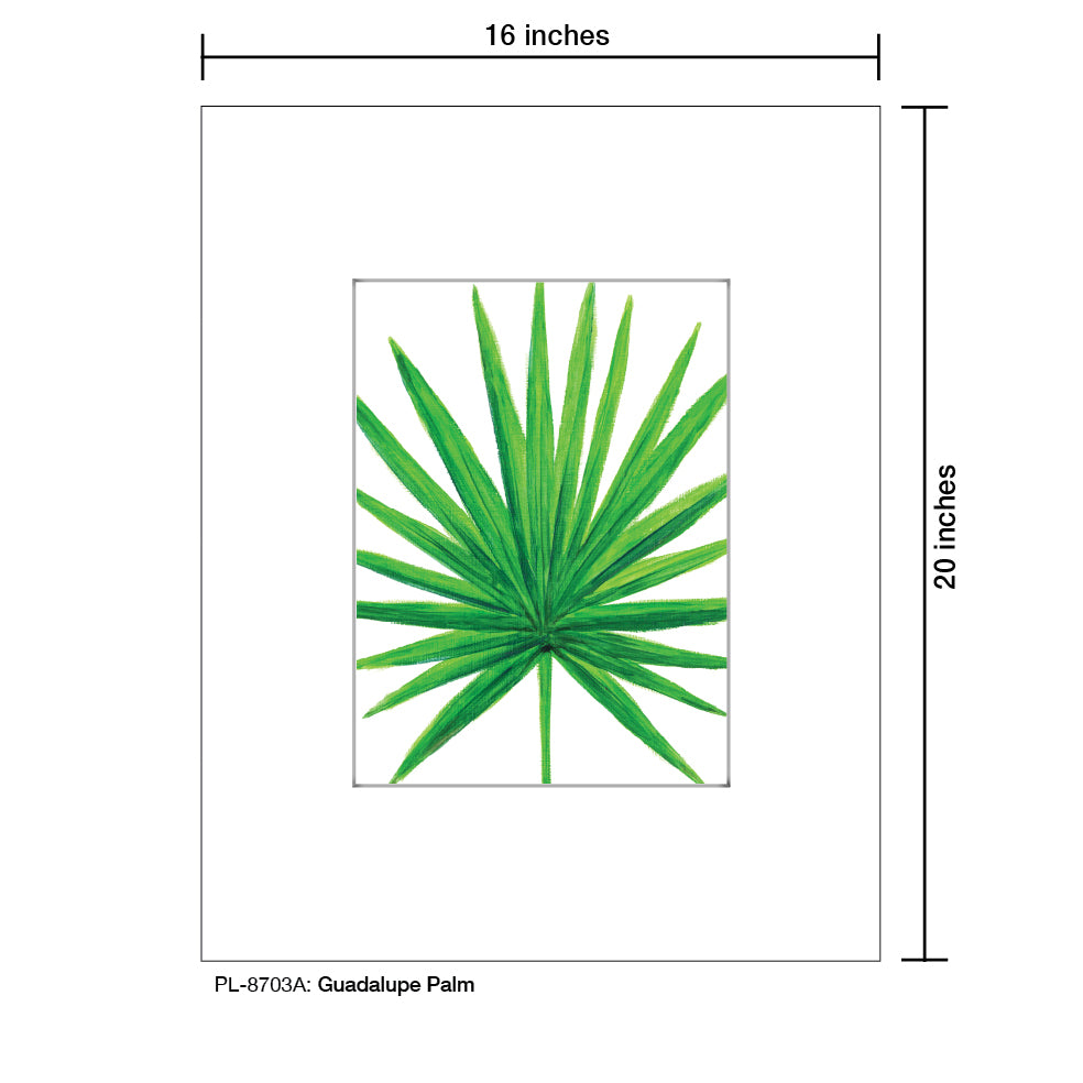 Guadalupe Palm, Print (#8703A)